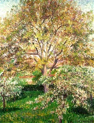 Trees in Bloom at Eragny, 1895